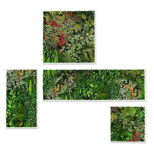 Amazonia Preserved foliage