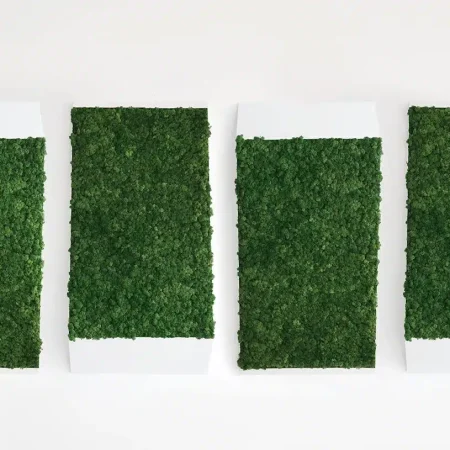 Greenmood Perspective-lines product