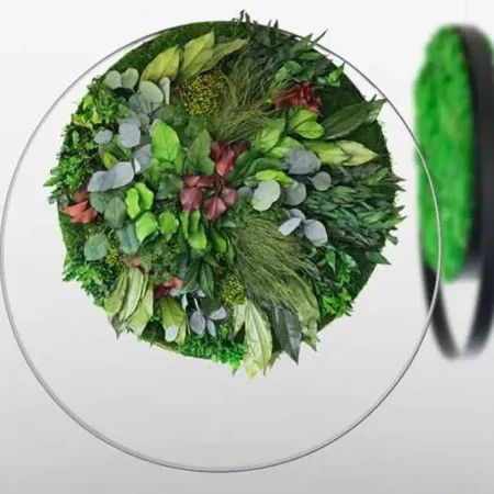 Greenmood Rings