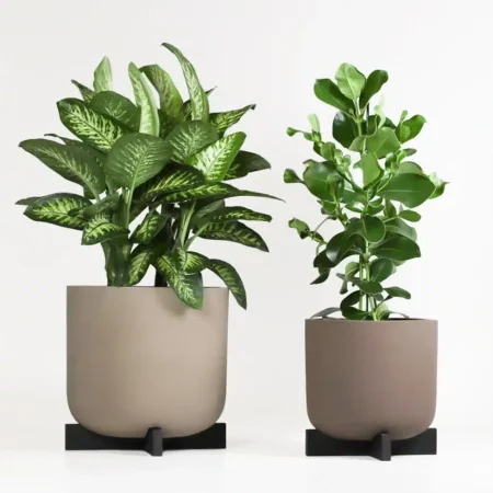 Cruz Planters