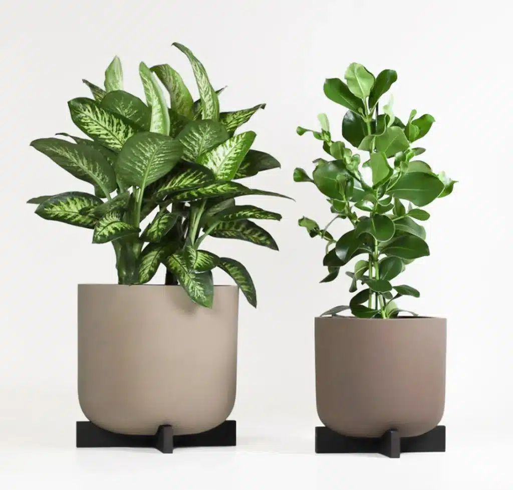Cruz Planters