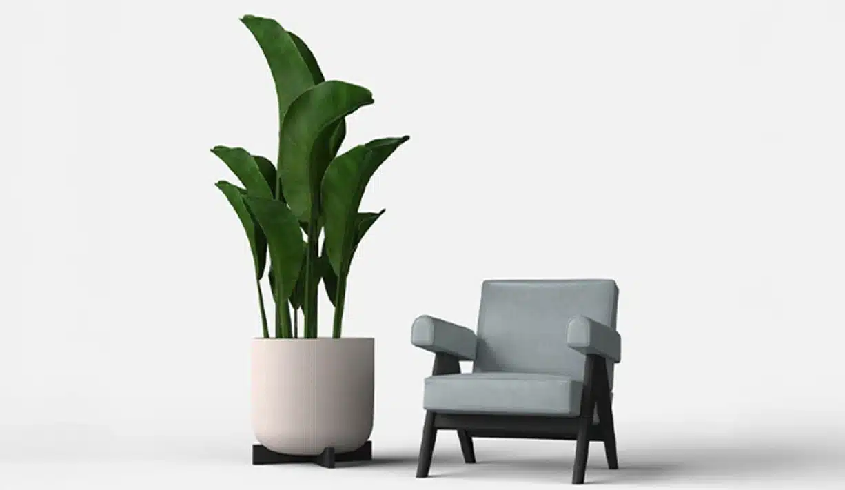Cruz Planters