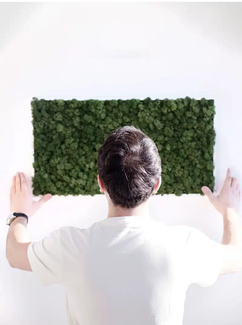 Moss Frame
