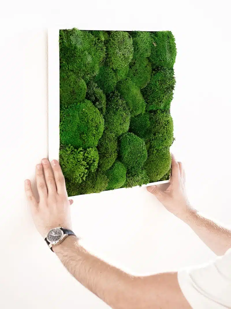 Moss Frame