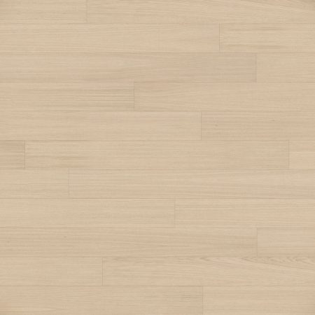 Master 06 Milk Oak Premium