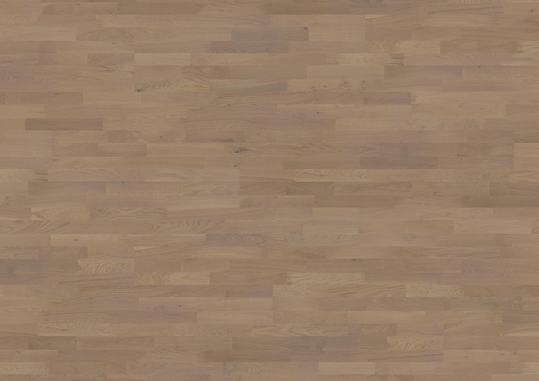 Oak Bacchus Tailored Collection 2