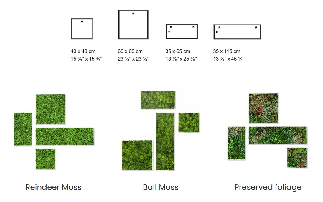 Greenmood Cruz Dimensions